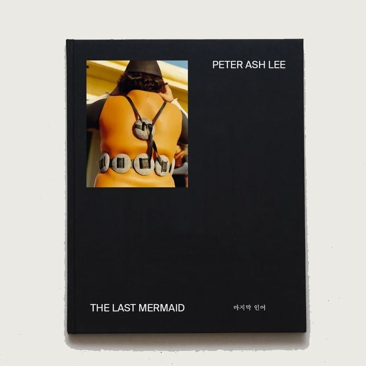 The Last Mermaid, book